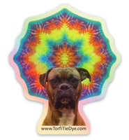 Yogi holographic sticker